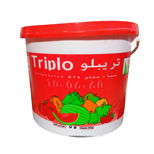 TRIPLO 10-06-60