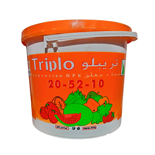 TRIPLO 20-52-10